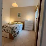 North Spot דרזניצה